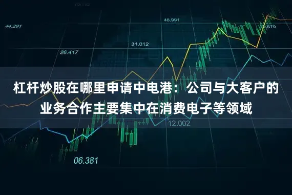 杠杆炒股在哪里申请中电港：公司与大客户的业务合作主要集中在消费电子等领域