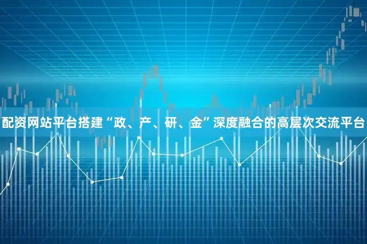 配资网站平台搭建“政、产、研、金”深度融合的高层次交流平台