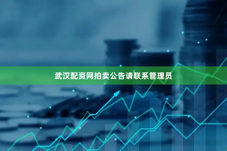 武汉配资网拍卖公告请联系管理员